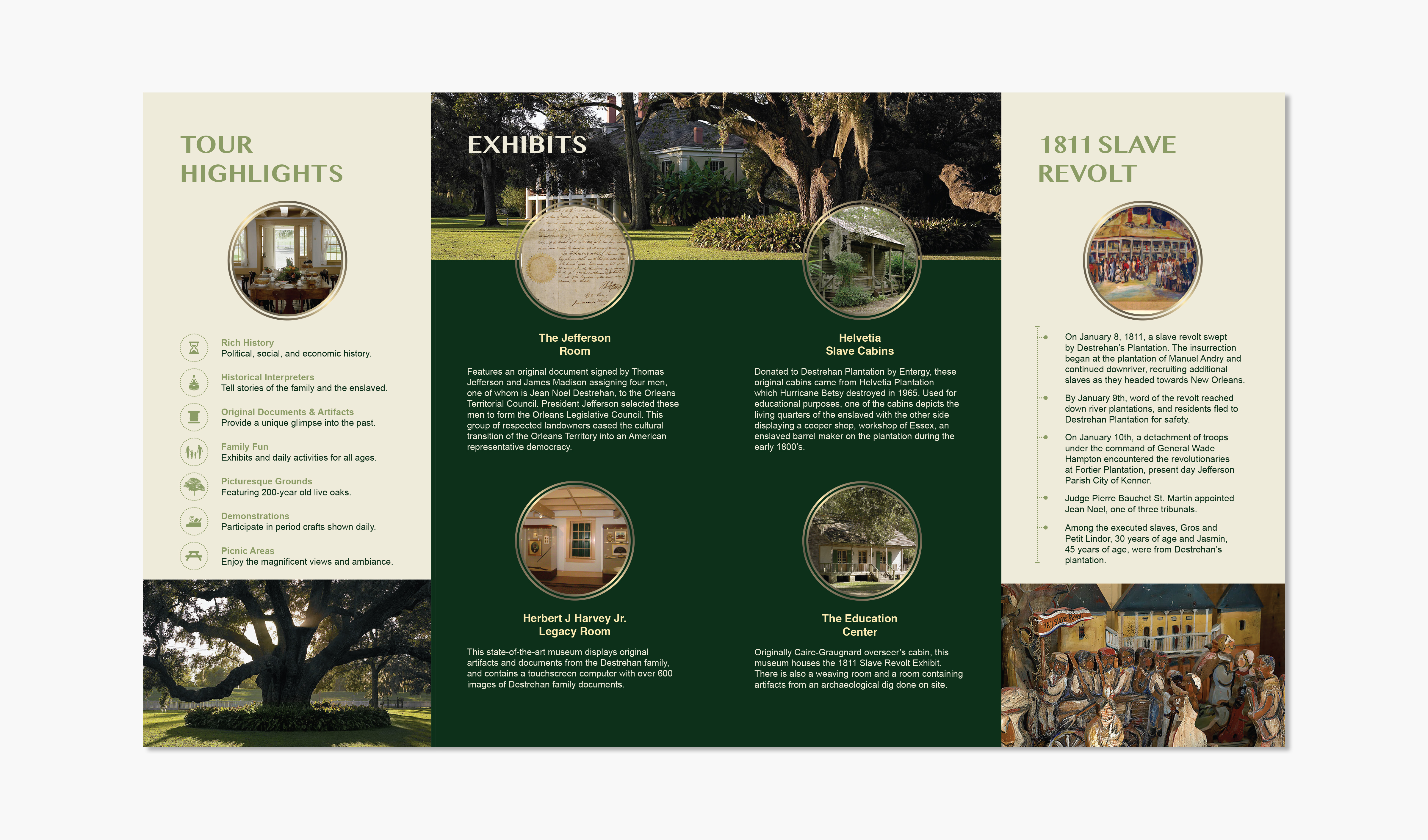 Brochure Design